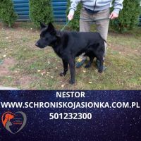 ANDESPOL13.10.2024